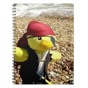 Carnet Danny Duck le Pirate