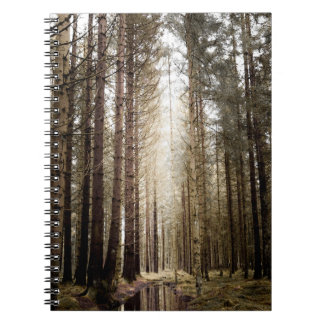 CARNET DANS LA FORÊT