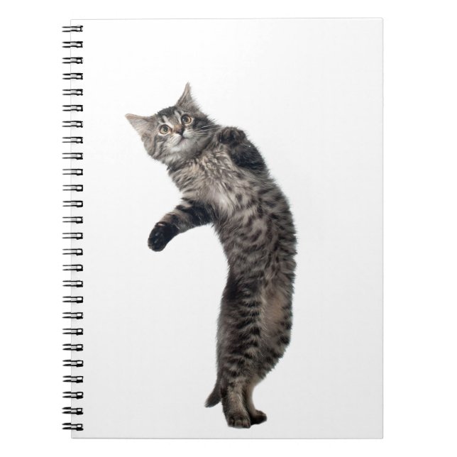 Carnet Danse d'Asio (Devant)