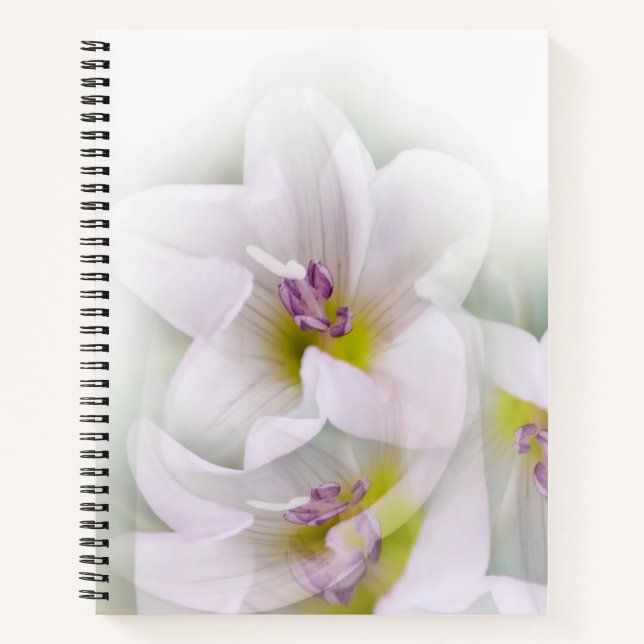 Carnet danse des fleurs (Devant)