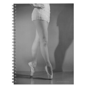 Carnet Danseur classique