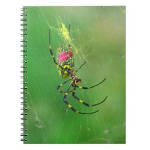 Carnet d'araignée Golden Orb Weaver
