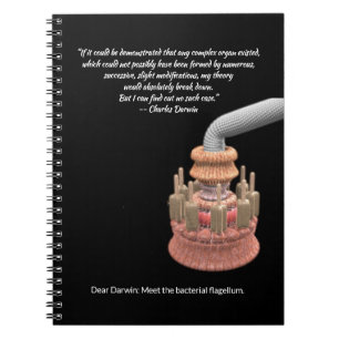 Carnet Darwin's Concession and the Bacterial Flagellum