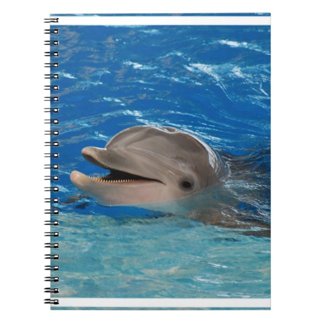Carnet Dauphin mignon de vibration (Devant)