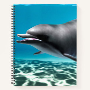 Carnet Dauphin souriant