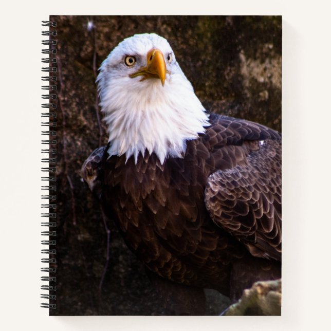 Carnet de Bald Eagle (Devant)