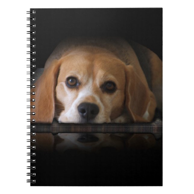 Carnet de beagle (Devant)