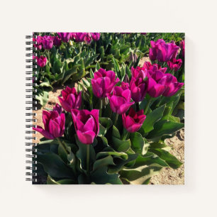 Carnet De beaux tulipes
