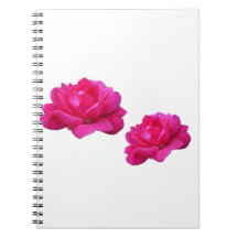 De belles fleurs roses doubles