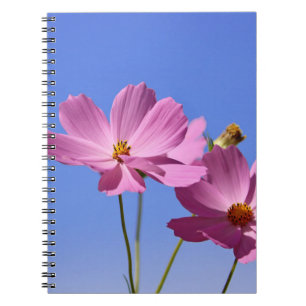 Carnet de belles fleurs roses serrant un ciel bleu clair