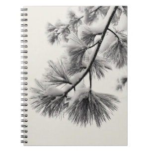 Carnet de branche d'aiguilles de pin neigeux