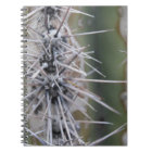Carnet de cactus