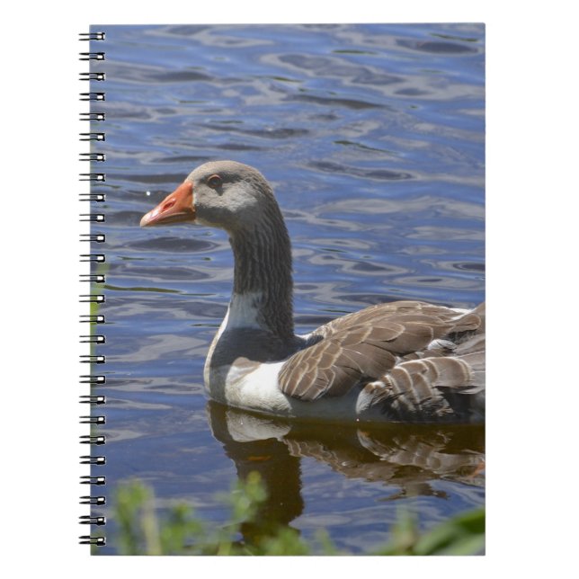 Carnet de canard (Devant)