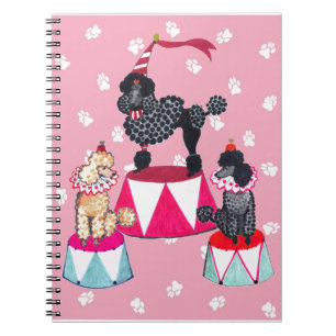 Carnet de caniche de cirque des anges de Gulliver