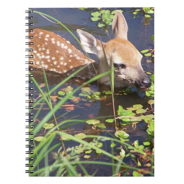 Carnet de cerfs de bébés (Devant)