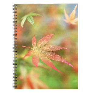 Carnet de champ automne
