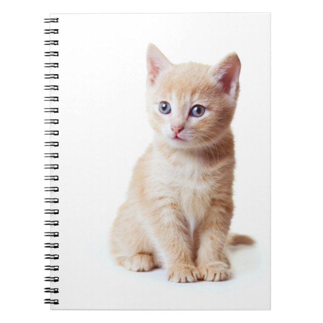 Carnet de chaton (Devant)