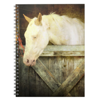 Carnet de cheval blanc