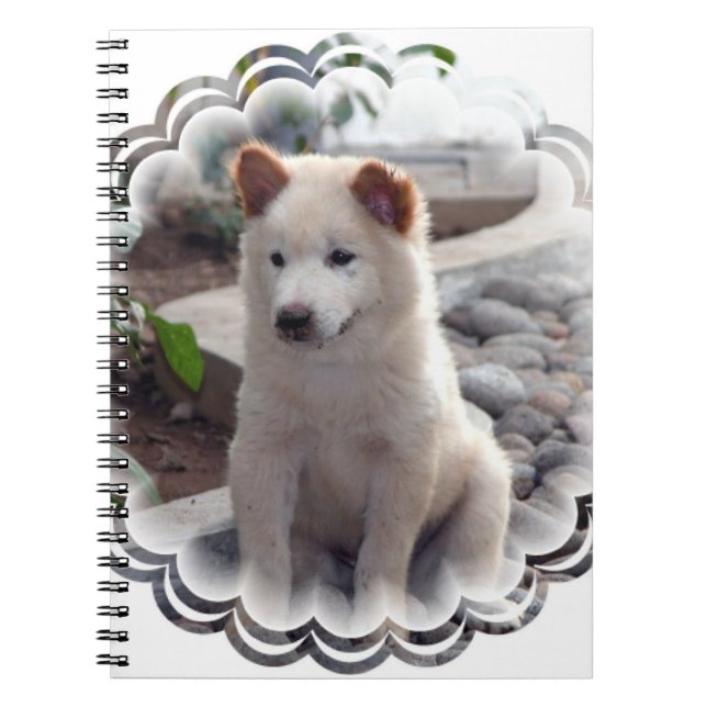 Carnet de chiots de bouffe (Devant)