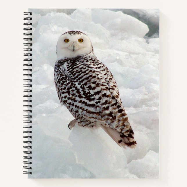 Carnet de Chouette Neige (Devant)
