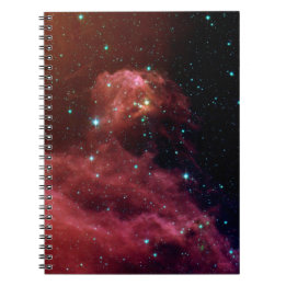 Carnet de constellation d'Orion