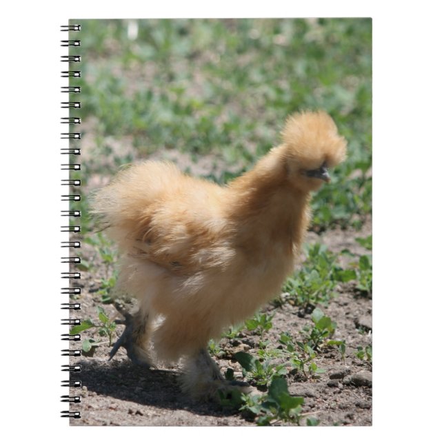 Carnet de couleur chamois de poulet de Silkie (Devant)
