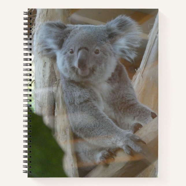 Carnet de Cute Koala (Devant)