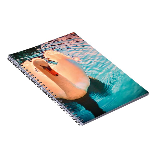 Carnet de cygne (Côté Droit)