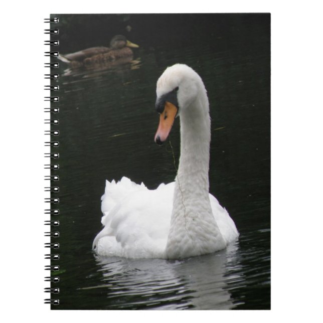 Carnet de cygne blanc (Devant)