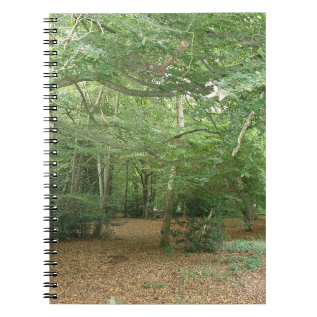 Carnet de défrichement des bois (Devant)