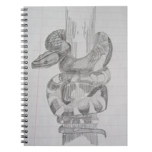 Carnet de dessin au crayon de serpent (Devant)