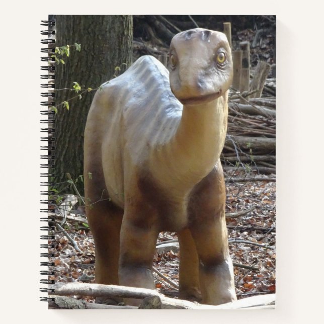 Carnet de dinosaures beige (Devant)
