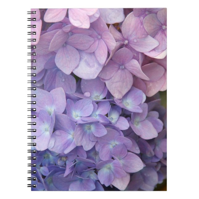 Carnet de droit/de la main gauche d'hortensia (Devant)