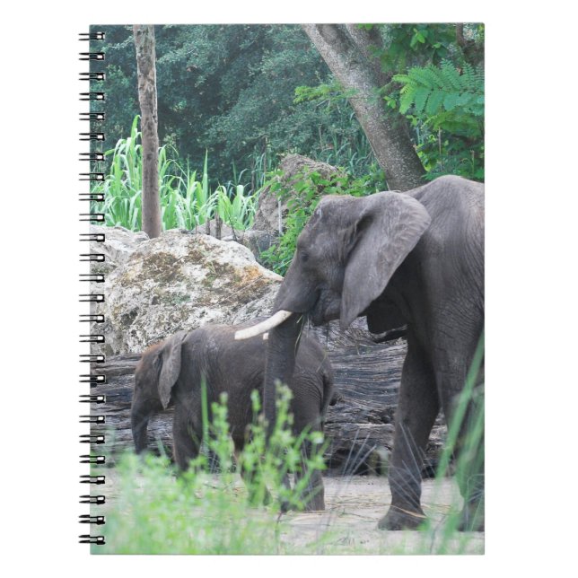 Carnet de famille d'éléphant (Devant)
