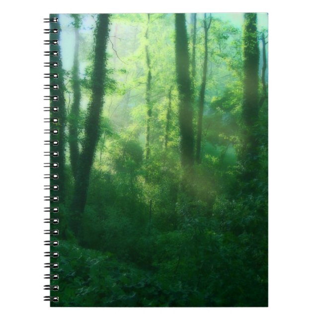 Carnet de fertilité (Devant)