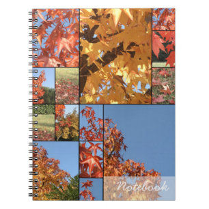 Carnet de feuilles d'automne