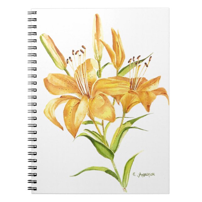 Carnet de fleur d'aquarelle de tigre (Devant)