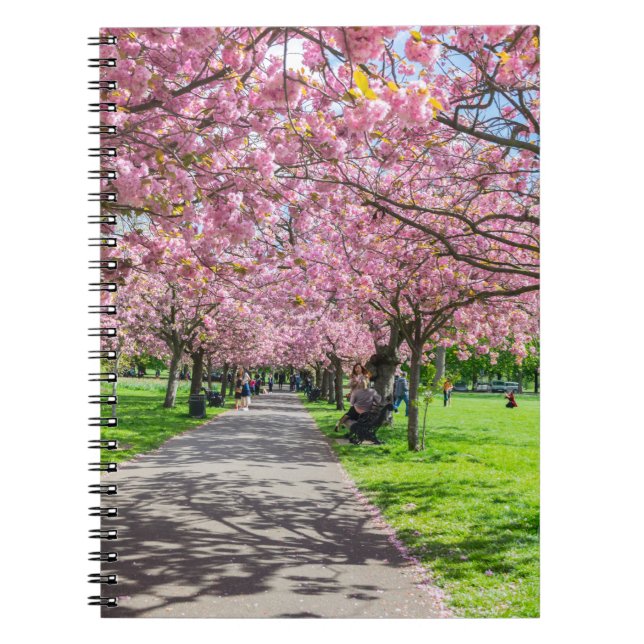 Carnet de fleurs de cerisier (Devant)