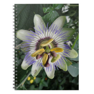 Carnet de fleurs de passion