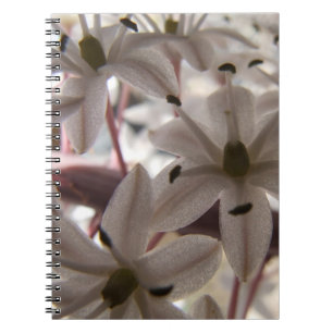 Carnet de fleurs roses