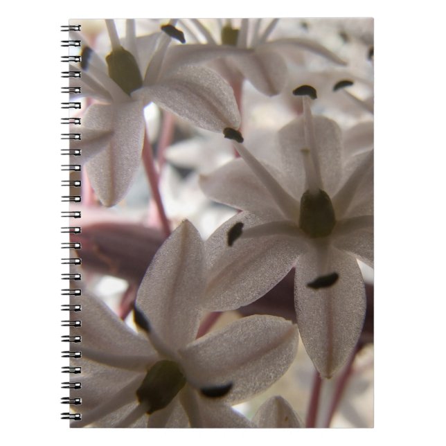 Carnet de fleurs roses (Devant)