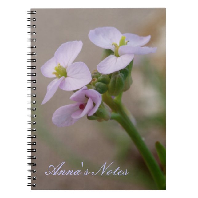 Carnet de fleurs violettes (Devant)