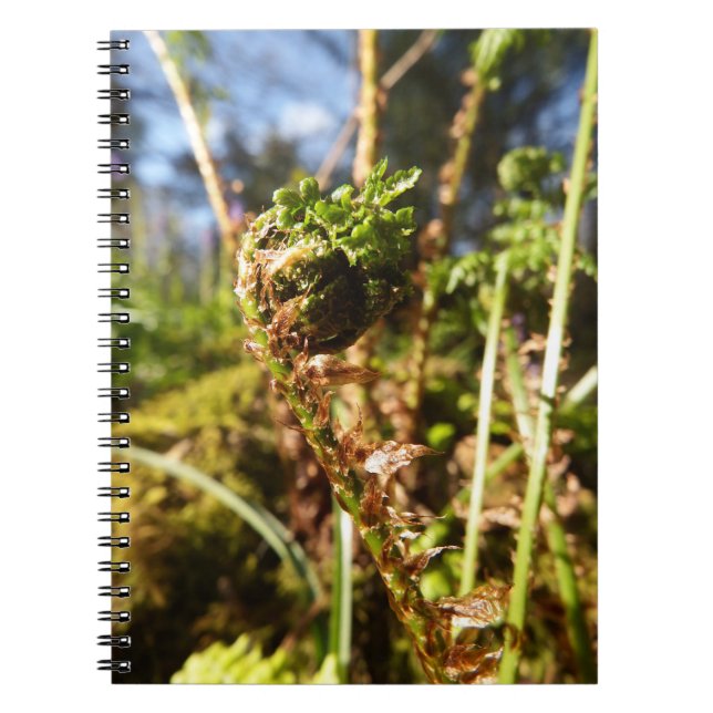 Carnet de fronde de fougère (Devant)