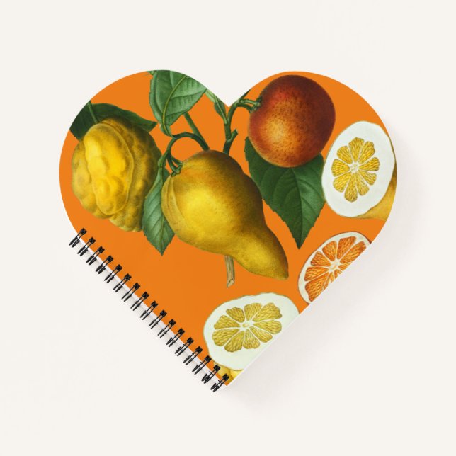 CARNET DE FRUITS DE CITRUS (Devant)