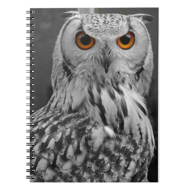 Carnet de hibou (Devant)