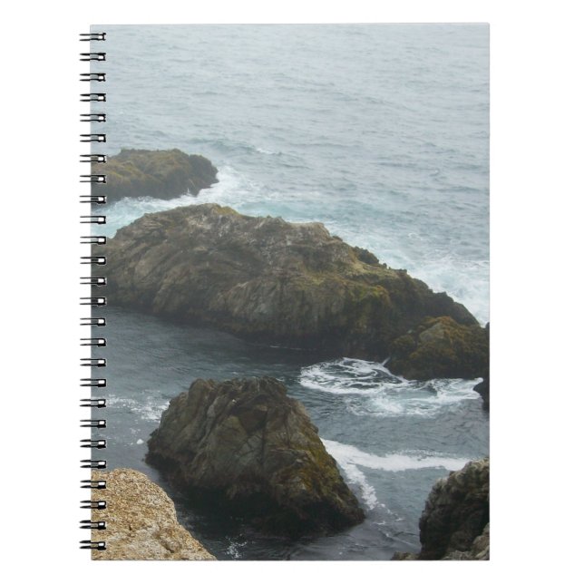 CARNET DE LA BAIE DE BODEGA (Devant)