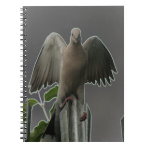 Carnet de la colombe Angel Fallen