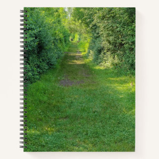 Carnet de la forêt