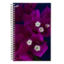 Carnet de la spirale de la fleur magenta
