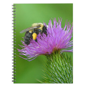 Carnet de l'abeille et du chardon